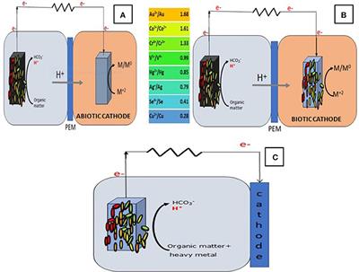 Challenges of Microbial Fuel Cell Architecture on Heavy Metal Recovery and Removal From Wastewater